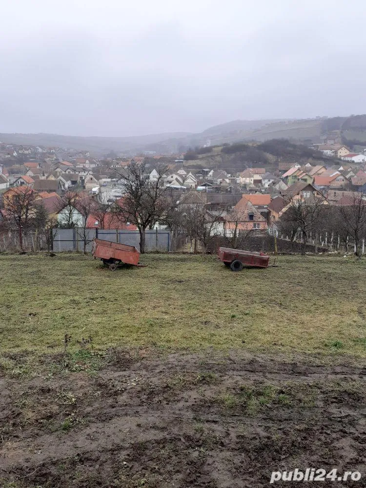 teren, hala